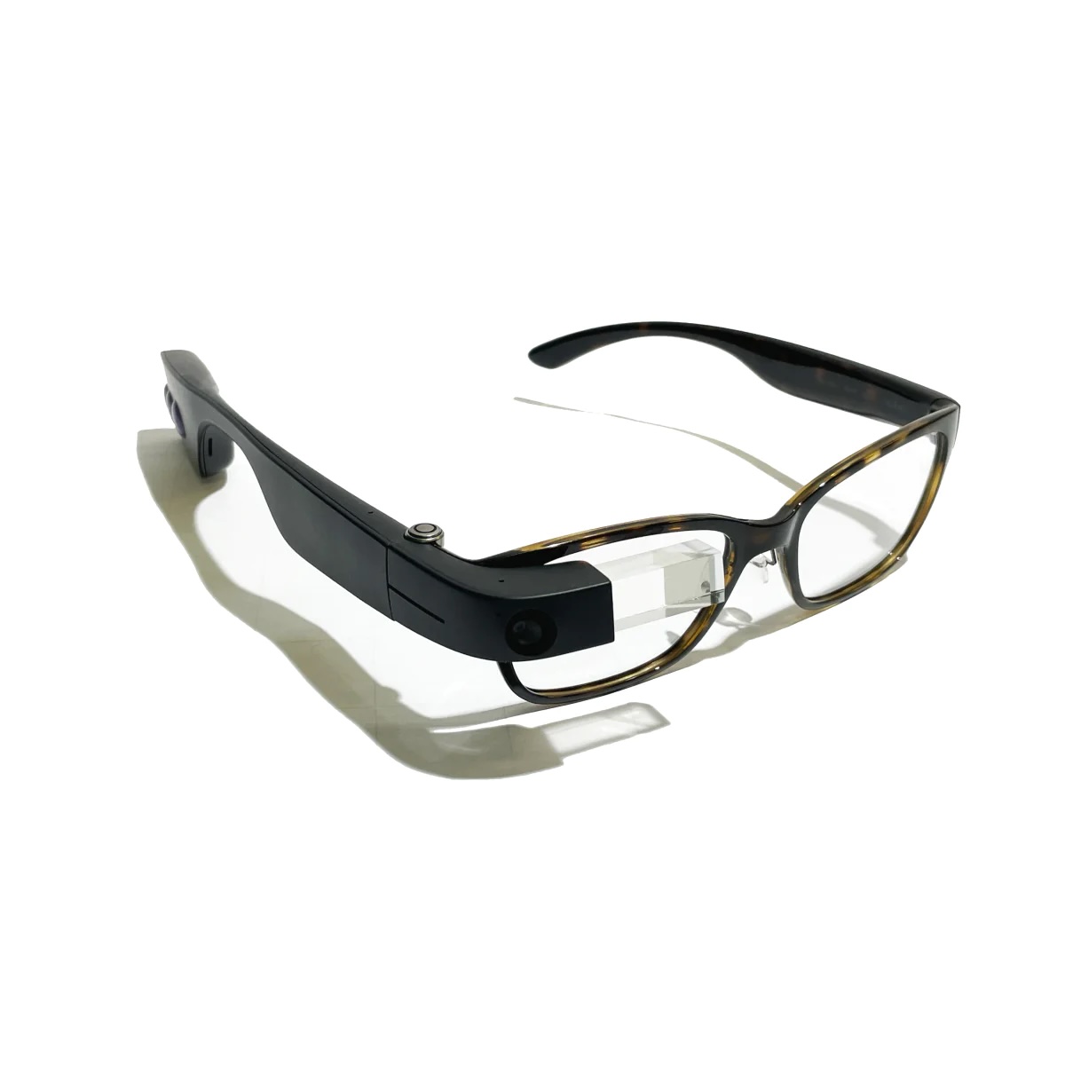 Fashion Lux Frames Sajama Tortoise.jpg